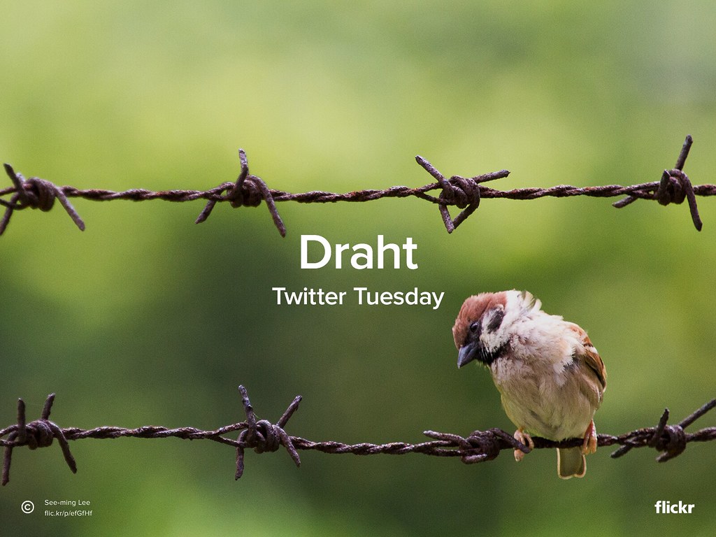 Twitter Tuesday: Draht