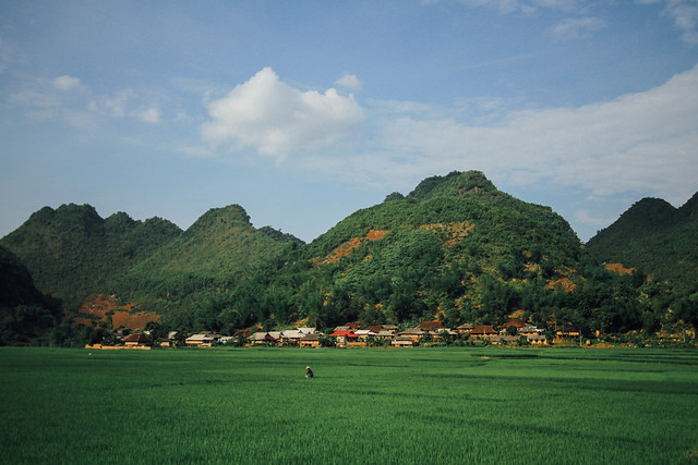 Rice Farmer Among Mountains, Sơn La Vietnam