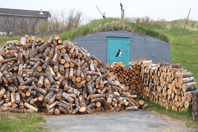 Firewood and a Root Cellar, Elliston, Newfoundland