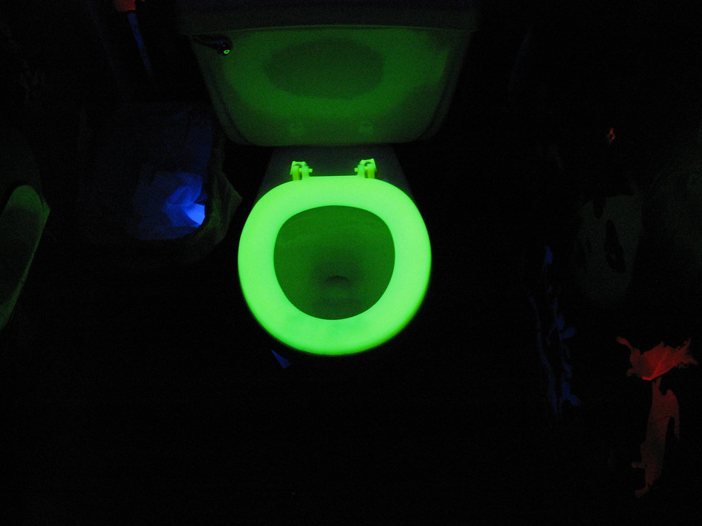 Glow-in-the-dark toilet seat