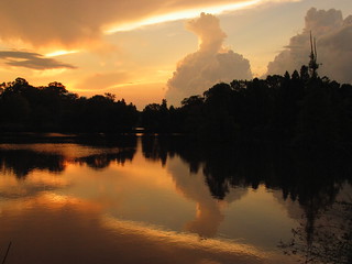 Louisiana Swamp Light Sunsets | by Antifluff Superstar