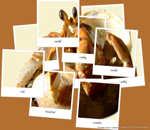 Hermit Crab in Hokney style