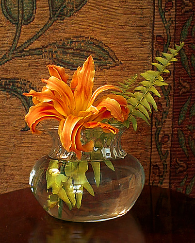 Orange lily | by dnn_rchmnd