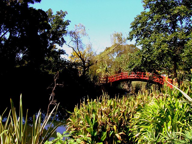 Wollongong Botanical Gardens