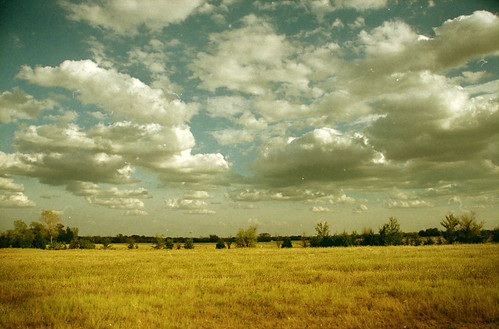 summer field clouds gold texas explore wadegriffith bestnaturetnc06 ©wadegriffith2010