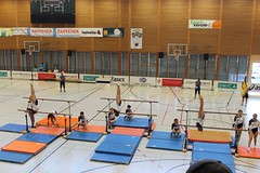 SMV 2016