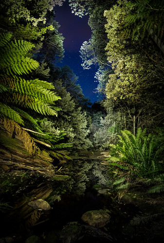 snugriver tasmania australia forest longexposure night stars pentaxk1 pentaxfullframe samyang24mmf14