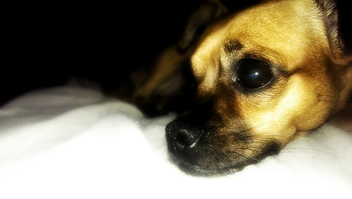 CoCo | by mcnairjasonj