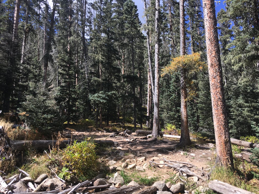 Winsor Trail (254)
