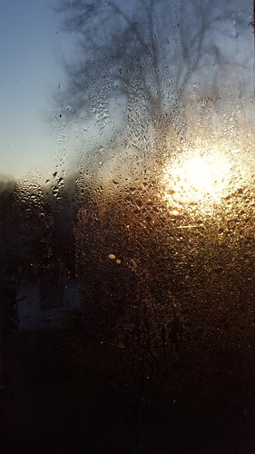 November Morning by Mamluke, water wasser leau aqua acqua window november morning condensation moisture sunrise sun light drops w