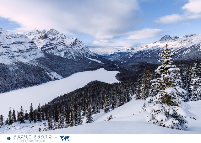 Peyto Lake, a glacier-fed lake in Banff National Park in winter.