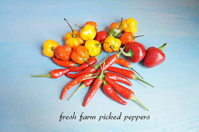 peppers -edit