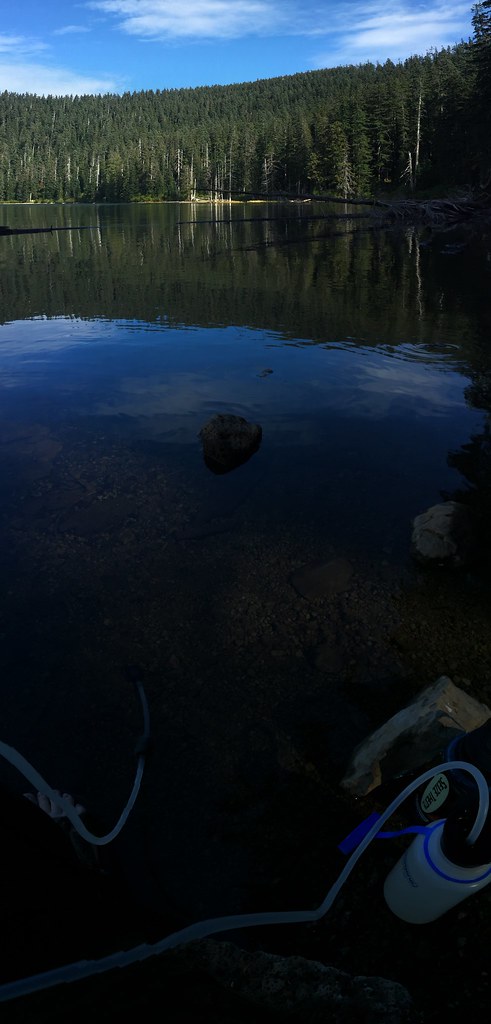 Anthill