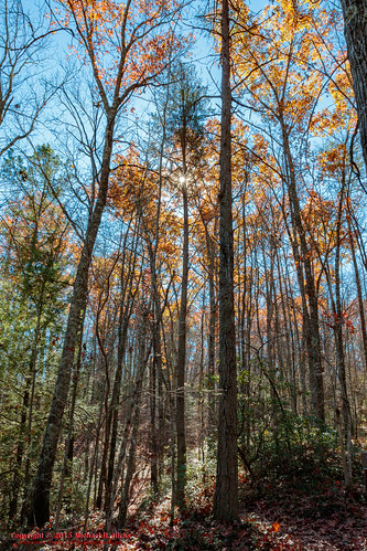 usa fall nature geotagged outdoors photography unitedstates hiking tennessee hdr jamestown geo:country=unitedstates camera:make=canon exif:make=canon geo:city=jamestown geo:state=tennessee sharpplace tamronaf1750mmf28spxrdiiivc exif:lens=1750mm exif:aperture=ƒ13 tennessestateparks exif:isospeed=320 exif:focallength=17mm canoneos7dmkii camera:model=canoneos7dmarkii exif:model=canoneos7dmarkii poguecreekcanyonstatenaturalarea geo:lat=3652650500 geo:lon=8482206833 geo:lat=36526388333333 geo:location=sharpplace geo:lon=84821945