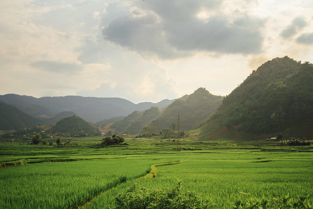 Mountains and Rice Paddies, Son La Vietnam