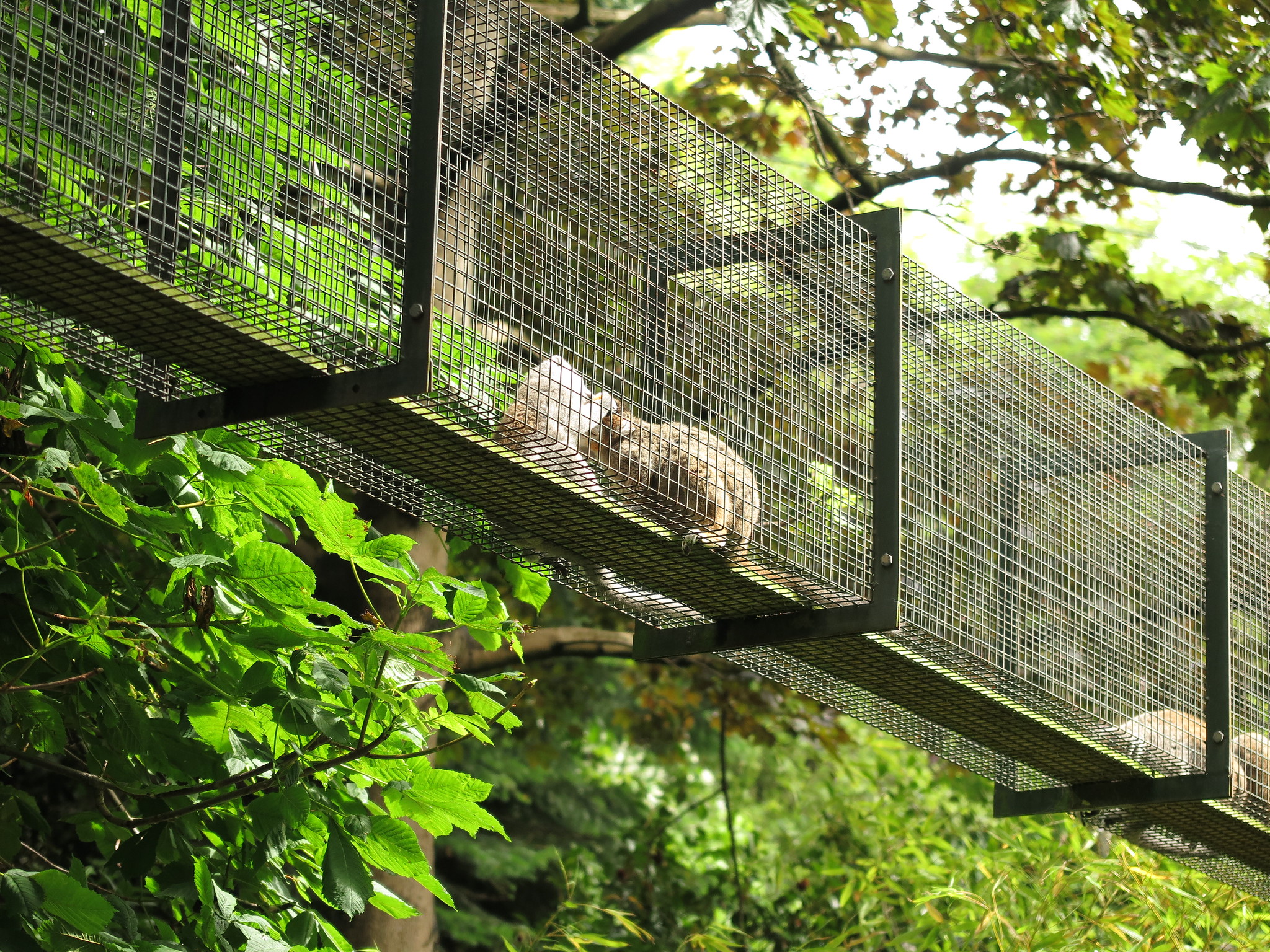 Zoo {Day 2} (Edinburgh)