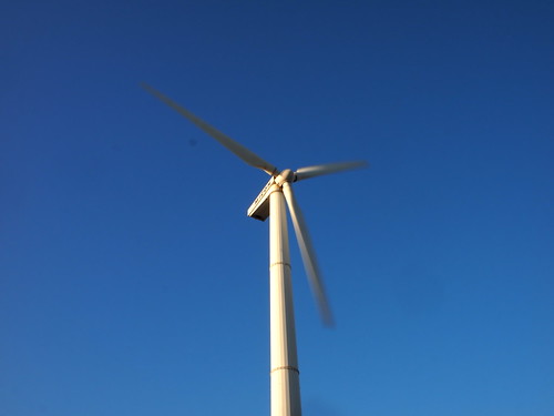 宮川公園の風車