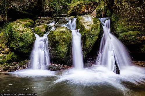 falls forest nature rapids tree waterfall breidweiler luxembourg lu mullerthal schiessentümpel