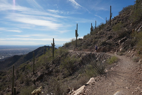 arizona scottsdale mcdowellsonoranpreserve sunrisetrail sonorandesert saguaro cactus trail kani christmas2016