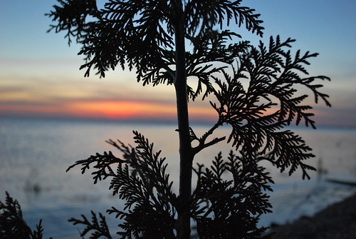 Tyler's Camera 563 | by Tyler Knorr