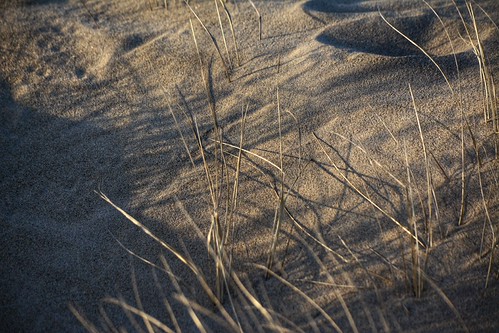 week 8 52 in 2017- shadows | by oakiedoakie