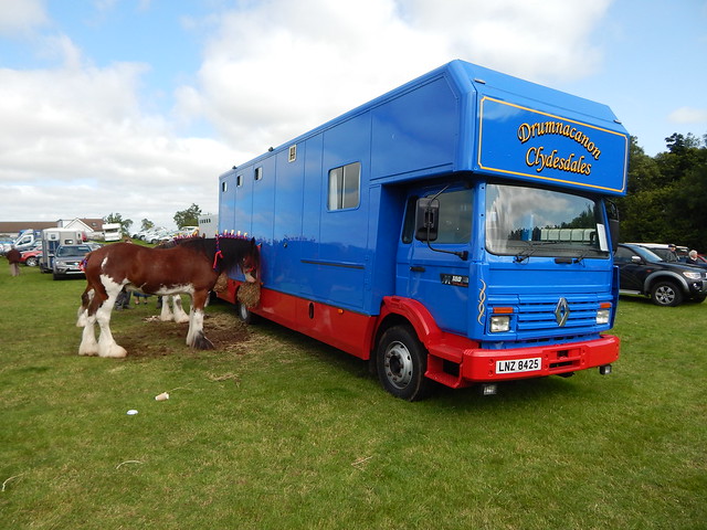 LNZ 8425 - Drumnacanon Clydesdales Tamlaght O'Crilly County Londonderry