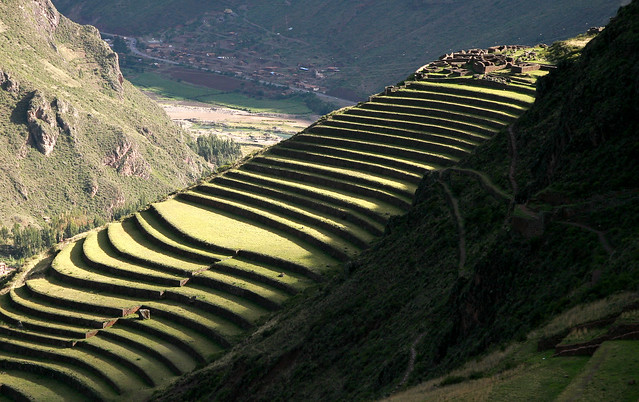 Terrasses incas