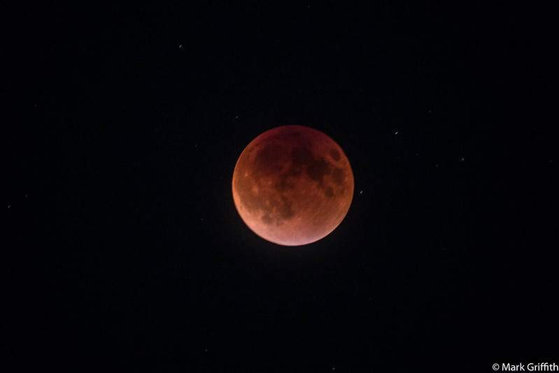 Blood Moon