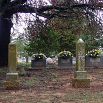 Garden of Memories Cemetery (02) Garden of Memories Cemetery
Vian, Oklahoma
Sequoyah  County
October 12, 2014