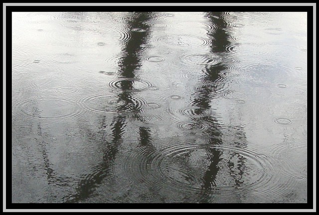 Reflections in the Rain