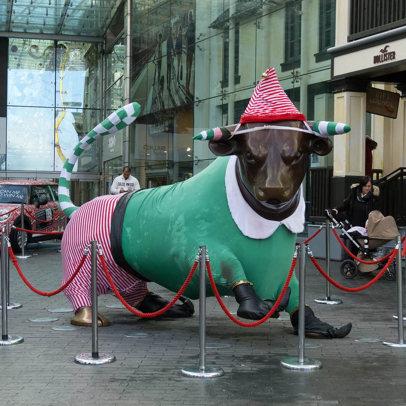 Birmingham bull, 2015 costume