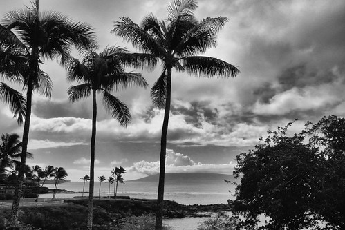 Maui Sketchbook | by shmc5hamer