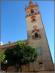 Moguer (Huelva) (Spain)