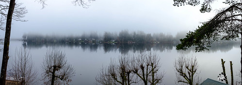 offutlake lake reflection fog family christmas christmaseve 2016 olympia washington unitedstates us