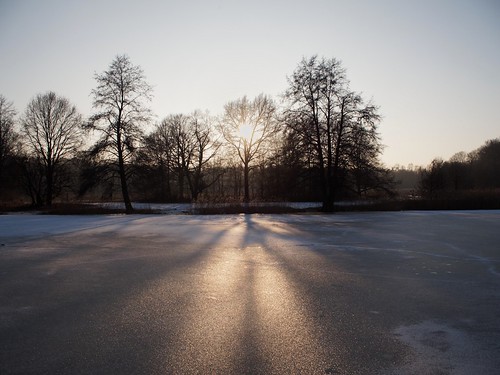 poland poznan poznań lake winter sunset trees ice glooming
