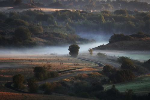 morning trees summer mist field sunrise denmark path hedeland