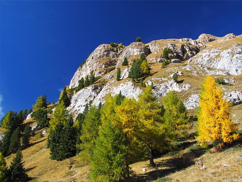 italien autumn trees italy alps geotagged italia herbst ita alpen bäume trentino dolomites belluno canazei dolomiten passofedaia geo:lat=4646389831 geo:lon=1186229976