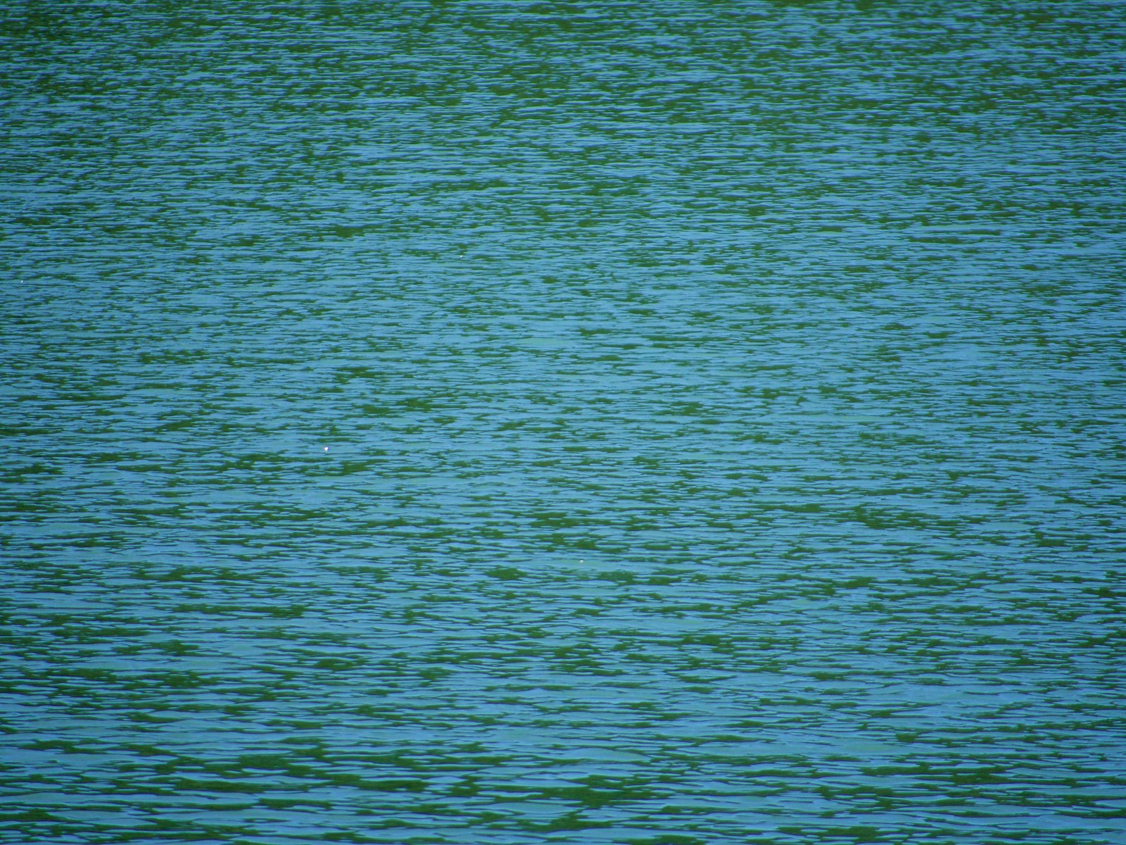 Lake Cumberland