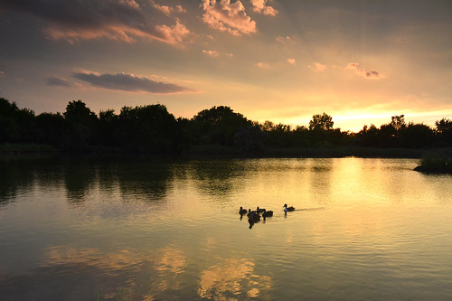 sunset reflections duck kansas wichita chisholmcreekpark
