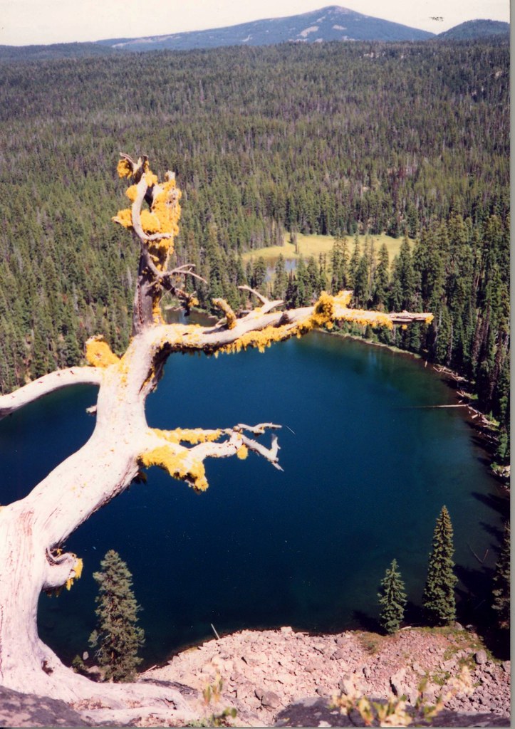 Sky Lakes Cutoff Trail