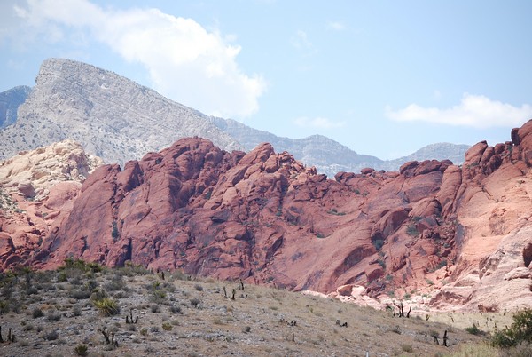 Red Rock Canyon-02