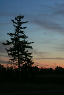 sunset on the loney pine
