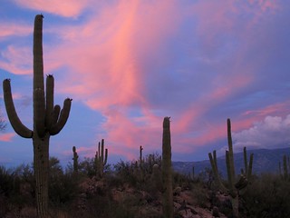 Sonoran Desert Sky Show v2.0