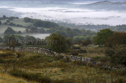 uk trees mist nature weather drywall landscape hills valley thegreatoutdoors hillwalking northwales thebritishcountryside clwydhills