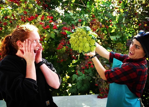 "Garden Terror: Attack of the Monster Romanesco" Coming soon to a farmers' market near you!