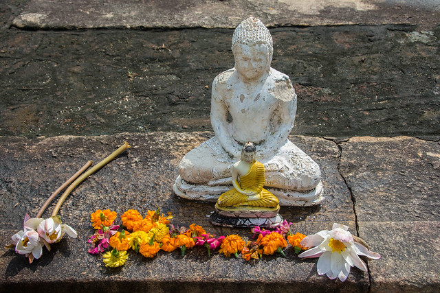 Small Buddhas and Flowers, Mihintale, Sri Lanka