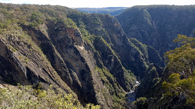 Wollomombi gorge