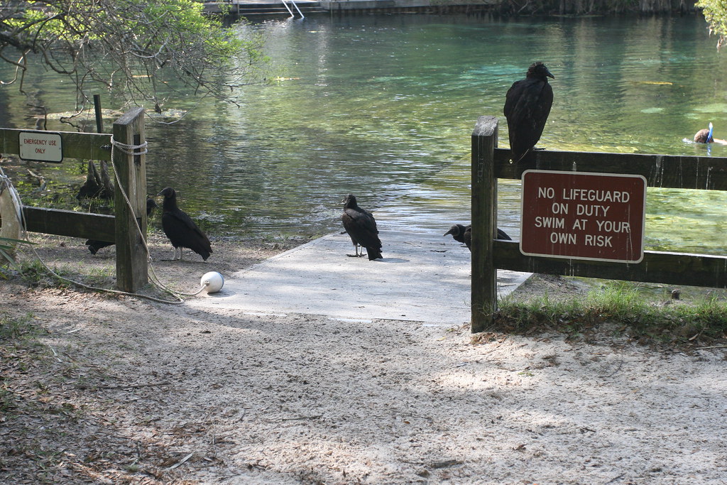 at your own risk near CEDAR KEY FL PHOTO; G.R. MEVIN G.R. Flickr