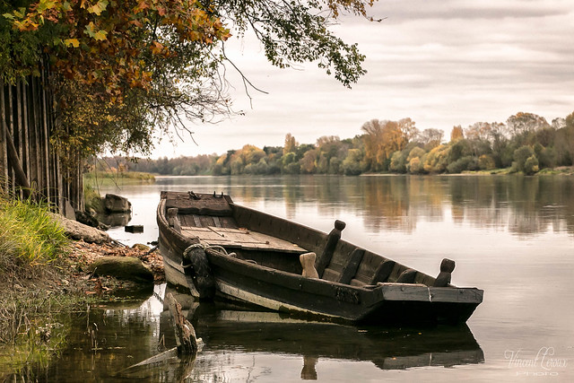 Couleurs d automne sur les bords de la Loire en touraine