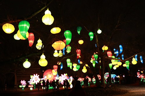 Lights on tree
